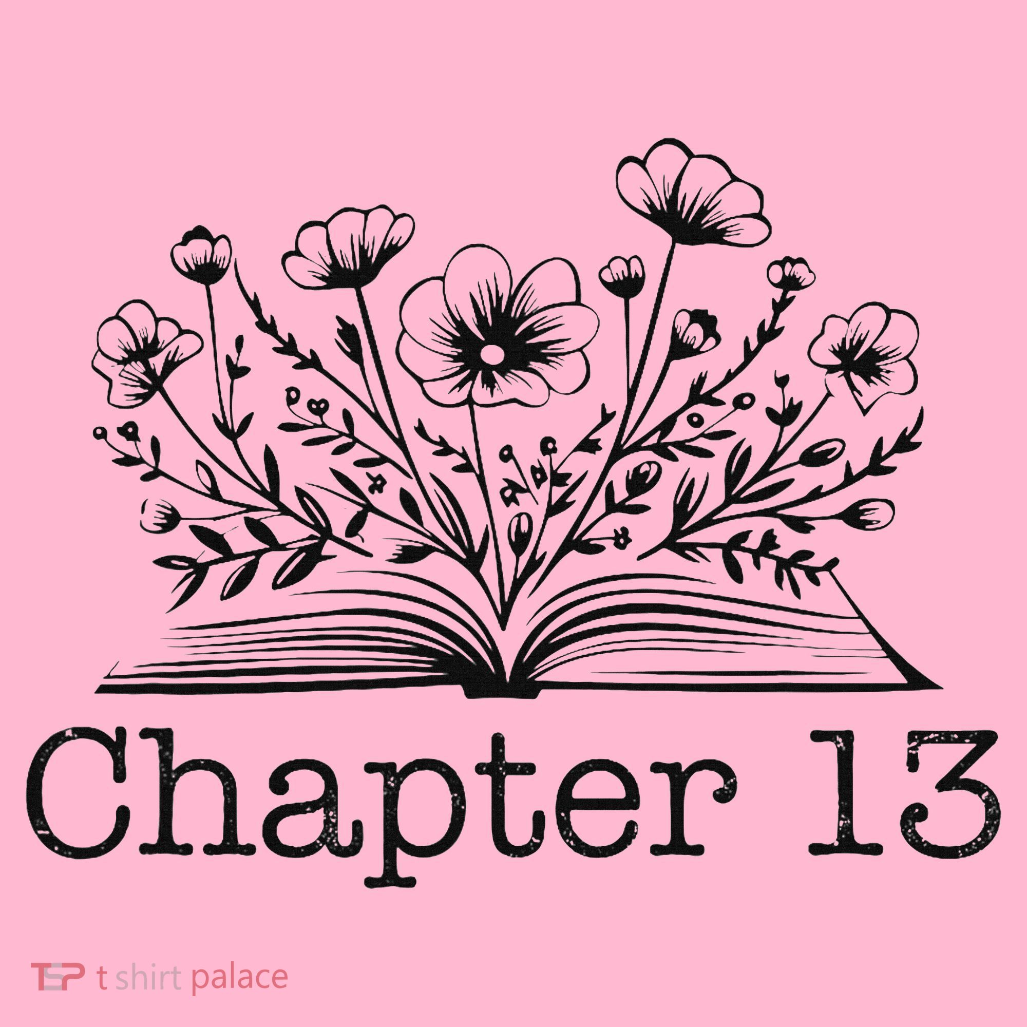 Cute 13th Birthday Chapter 13 Nager Book Lover Coaster