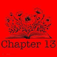 Cute 13th Birthday Chapter 13 Nager Book Lover Santa Hat thumb 1