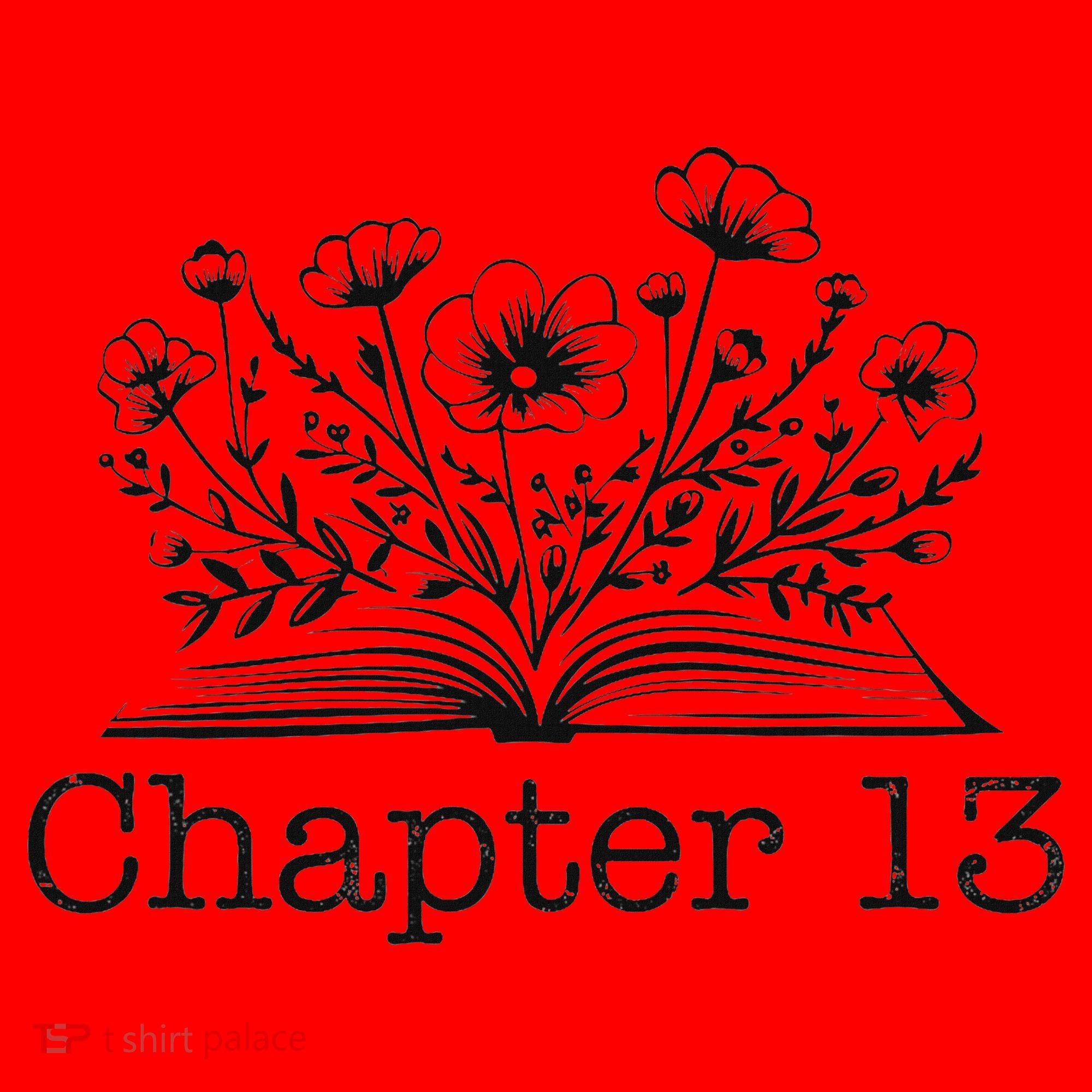 Cute 13th Birthday Chapter 13 Nager Book Lover Santa Hat