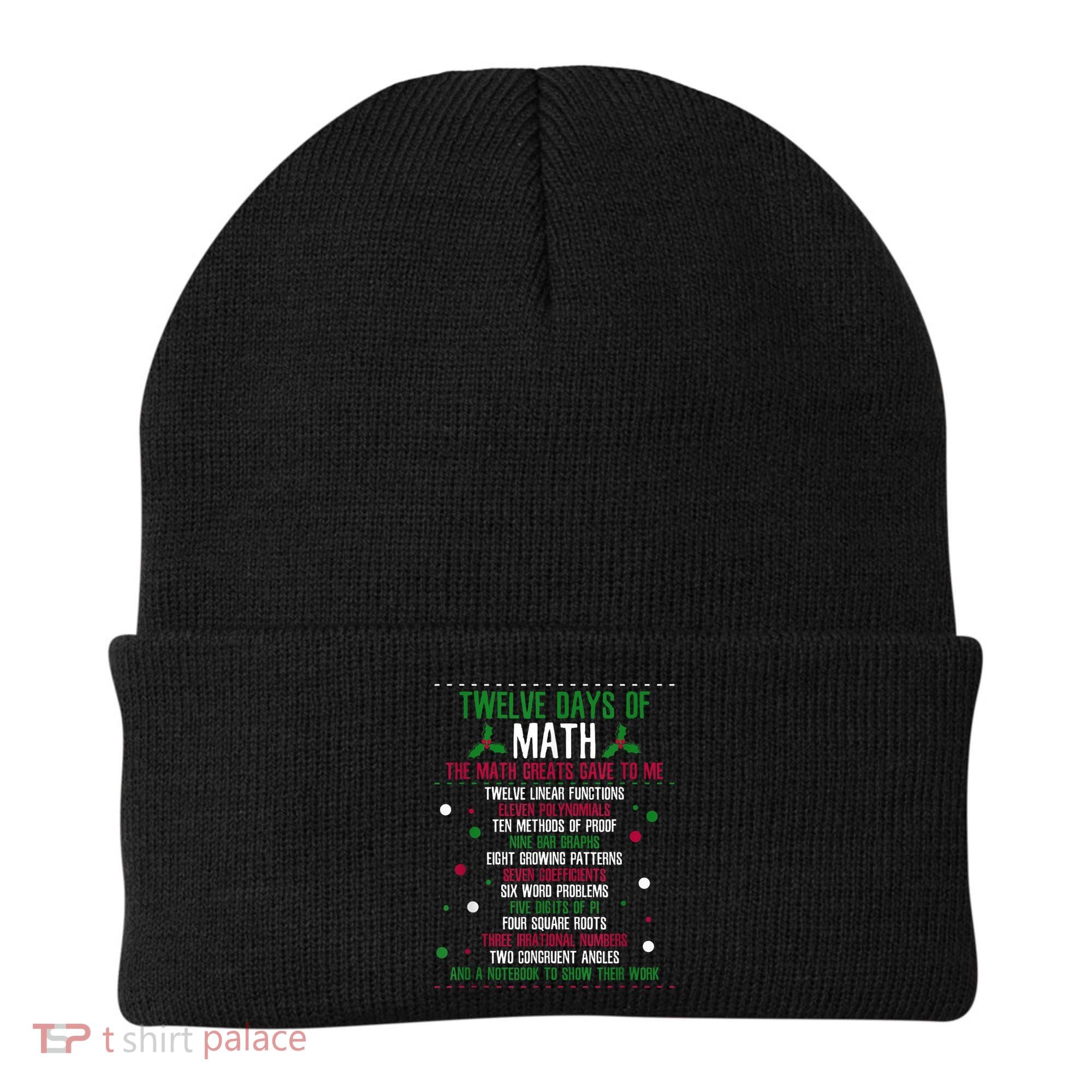 Christmas 12days Of Math Beanie