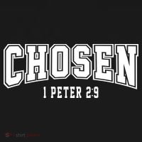 Chosen 1 Peter 2:9 Bible Verse Christian Hoodie thumb 2