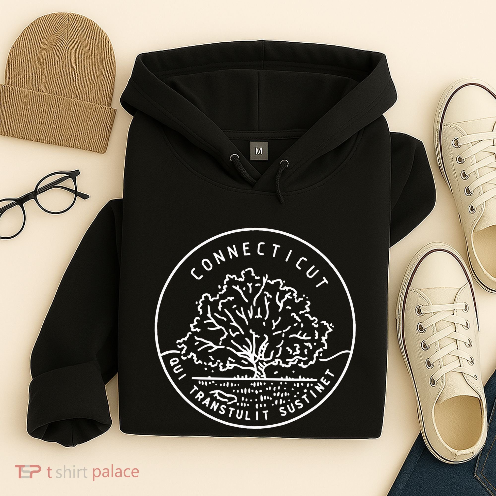Connecticut 1788 State Of Connecticut Hoodie