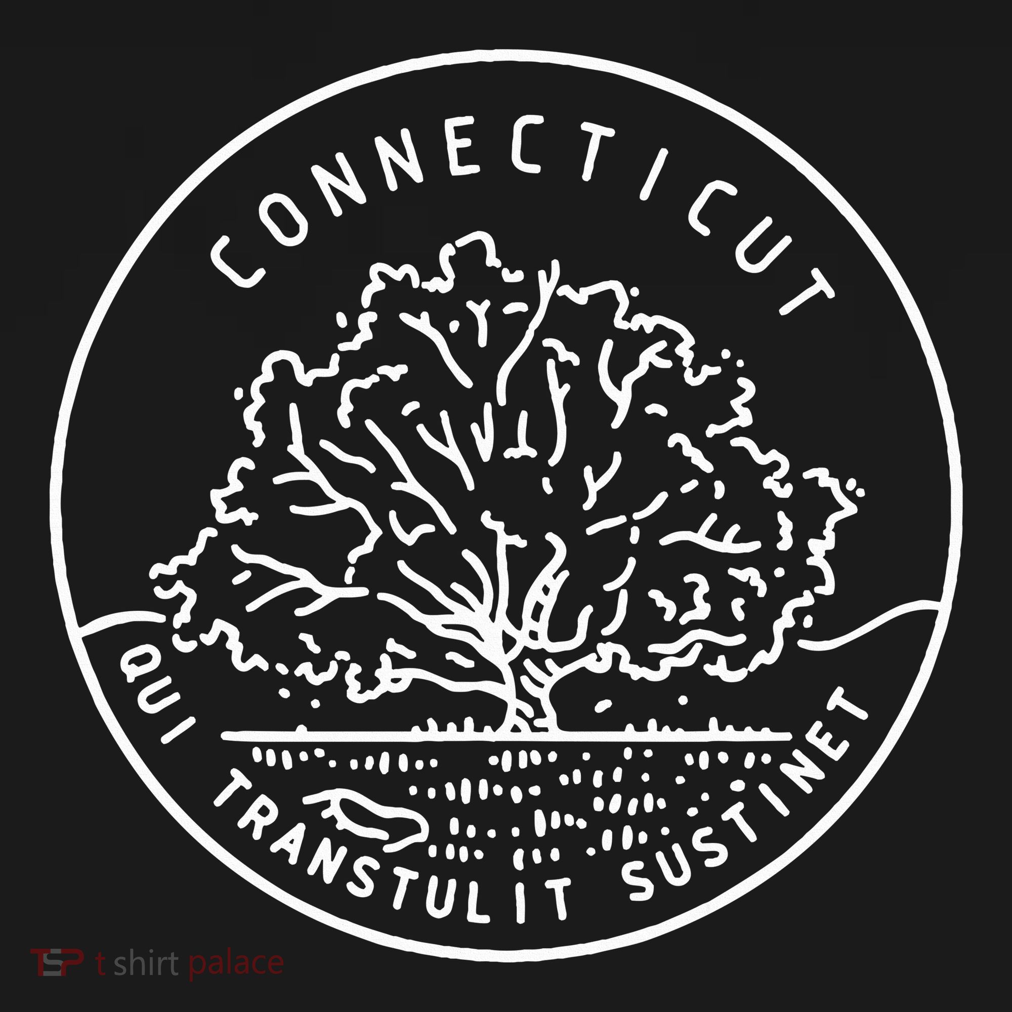 Connecticut 1788 State Of Connecticut Hoodie