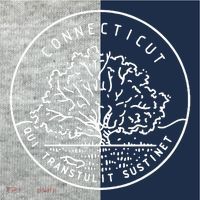Connecticut 1788 State Of Connecticut Kids Colorblock Raglan Jersey thumb 2
