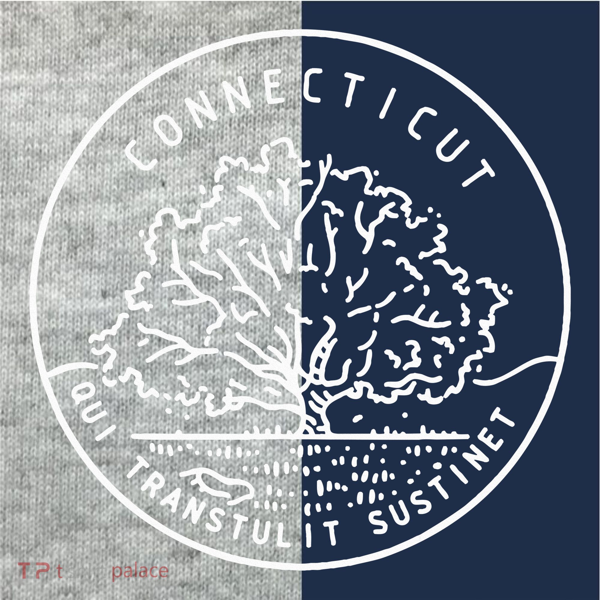 Connecticut 1788 State Of Connecticut Kids Colorblock Raglan Jersey