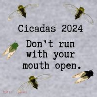 Cicada 2024 Cicadas Funny Cicada Women's Sweatshirt thumb 2