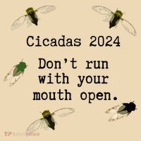 Cicada 2024 Cicadas Funny Cicada Tote Bag thumb 4