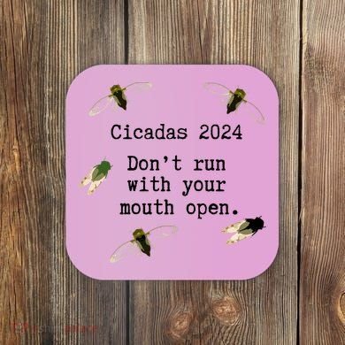 Cicada 2024 Cicadas Funny Cicada Coaster