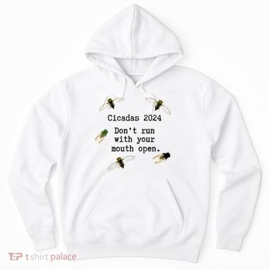 Cicada 2024 Cicadas Funny Cicada Hoodie