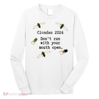 Cicada 2024 Cicadas Funny Cicada Long Sleeve Shirt