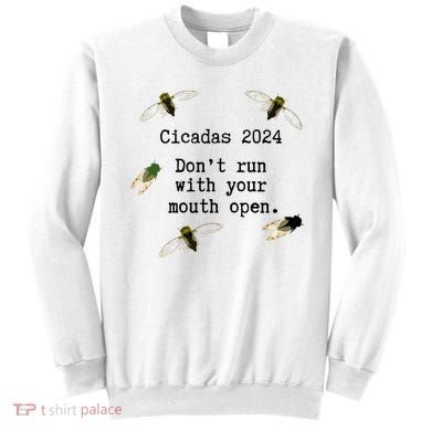 Cicada 2024 Cicadas Funny Cicada Sweatshirt