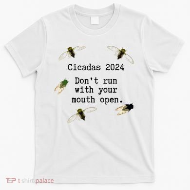 Cicada 2024 Cicadas Funny Cicada T-Shirt
