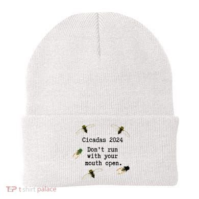 Cicada 2024 Cicadas Funny Cicada Beanie