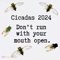 Cicada 2024 Cicadas Funny Cicada Baby Bodysuit thumb 2