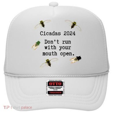 Cicada 2024 Cicadas Funny Cicada Hat