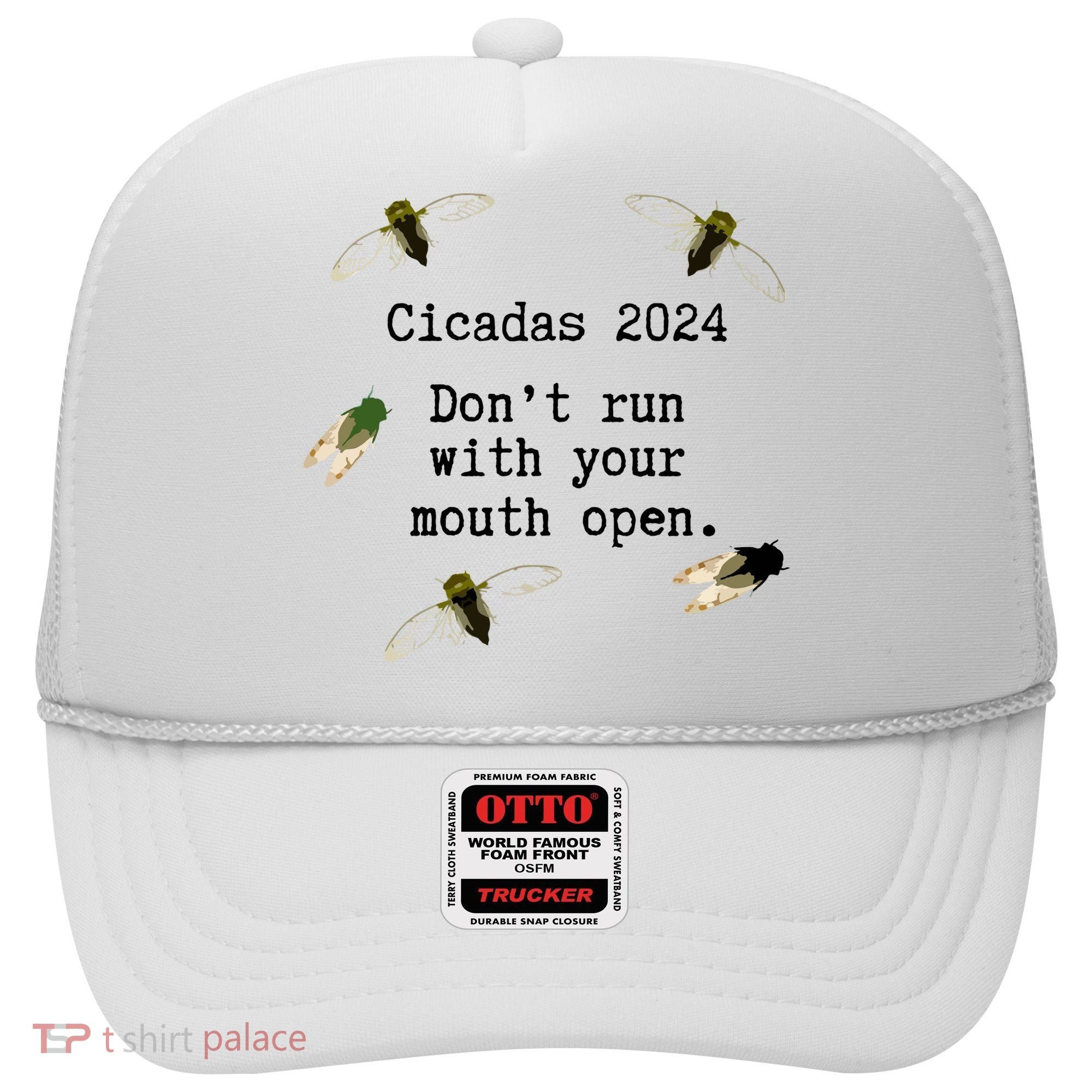 Cicada 2024 Cicadas Funny Cicada Hat