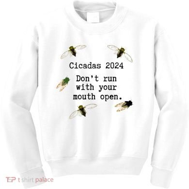 Cicada 2024 Cicadas Funny Cicada Kids Sweatshirt