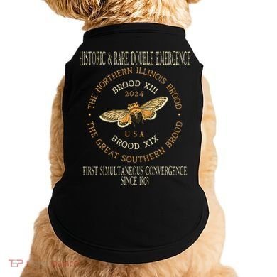 Cicada 2024 Event Brood Xix & Xiii Emergence Doggie Tank
