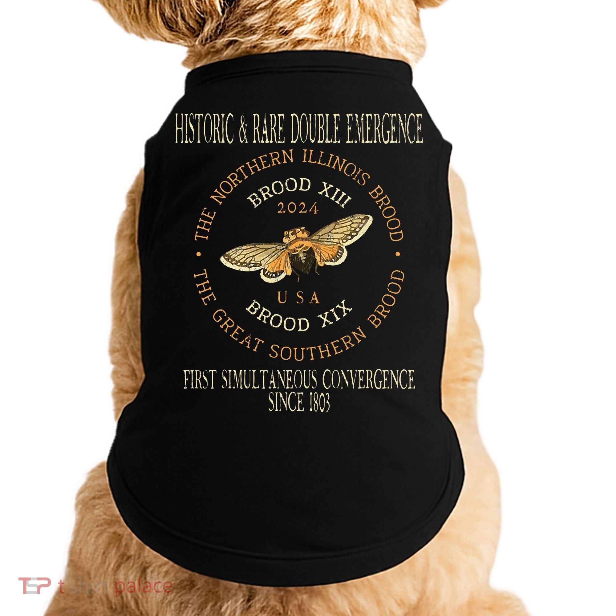 Cicada 2024 Event Brood Xix & Xiii Emergence Doggie Tank