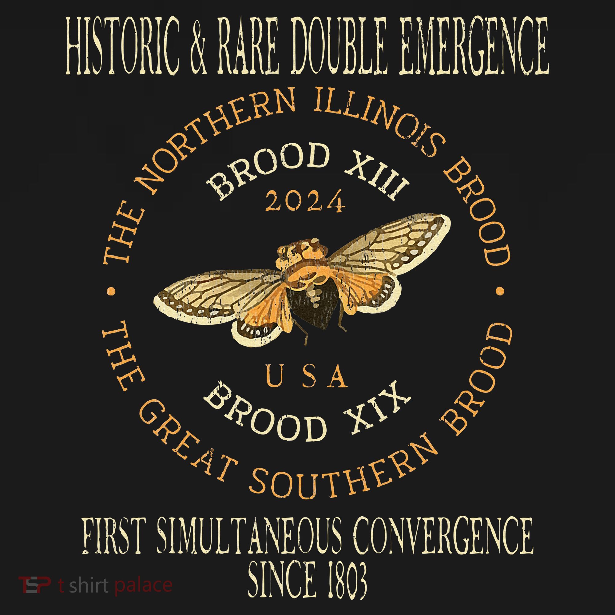 Cicada 2024 Event Brood Xix & Xiii Emergence Doggie Tank