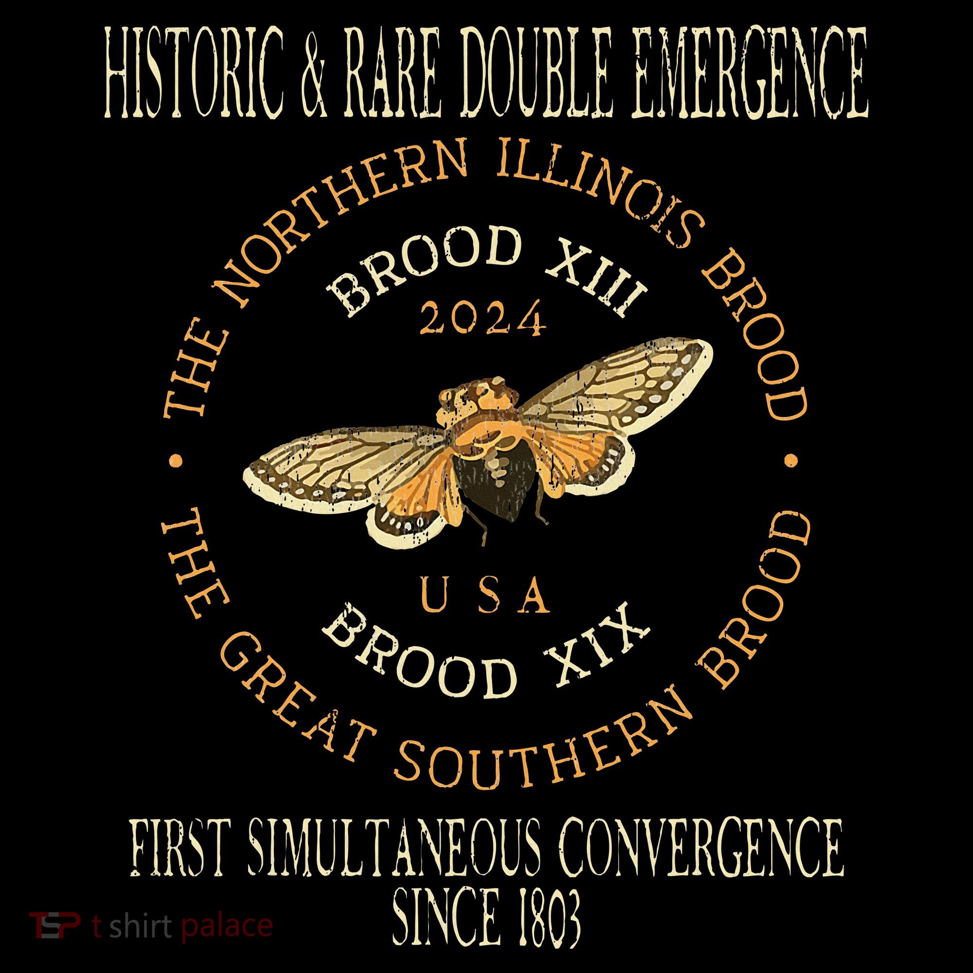 Cicada 2024 Event Brood Xix & Xiii Emergence T-Shirt