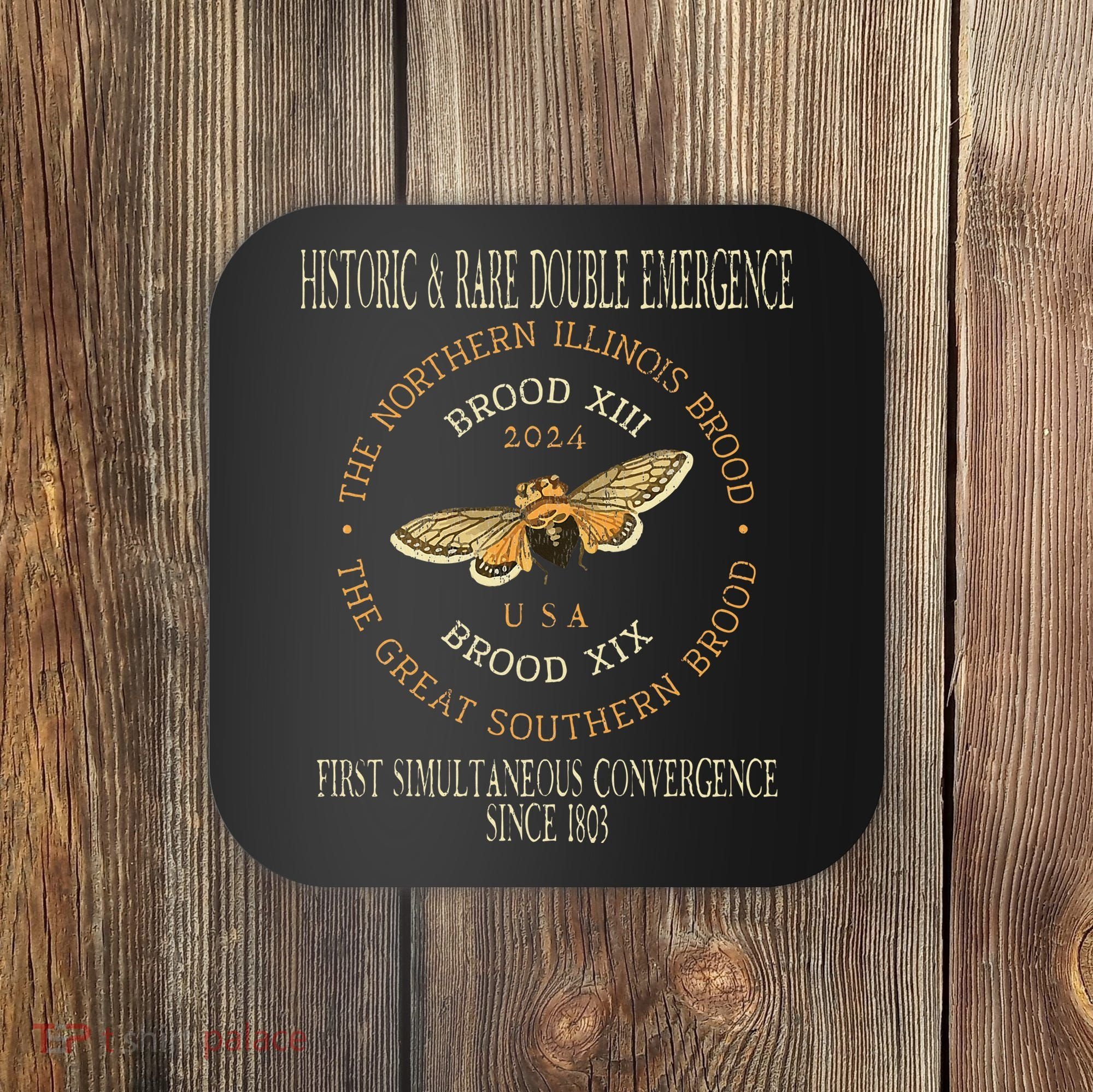 Cicada 2024 Event Brood Xix & Xiii Emergence Coaster
