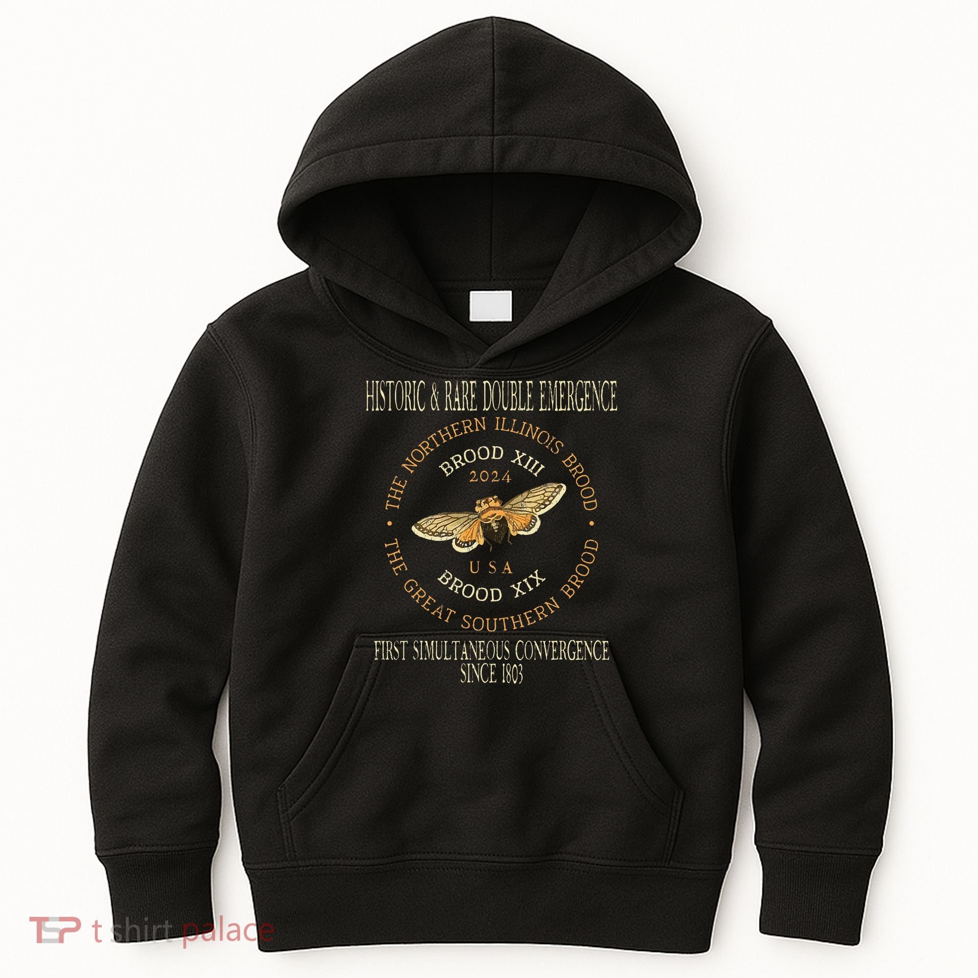Cicada 2024 Event Brood Xix & Xiii Emergence Kids Hoodie