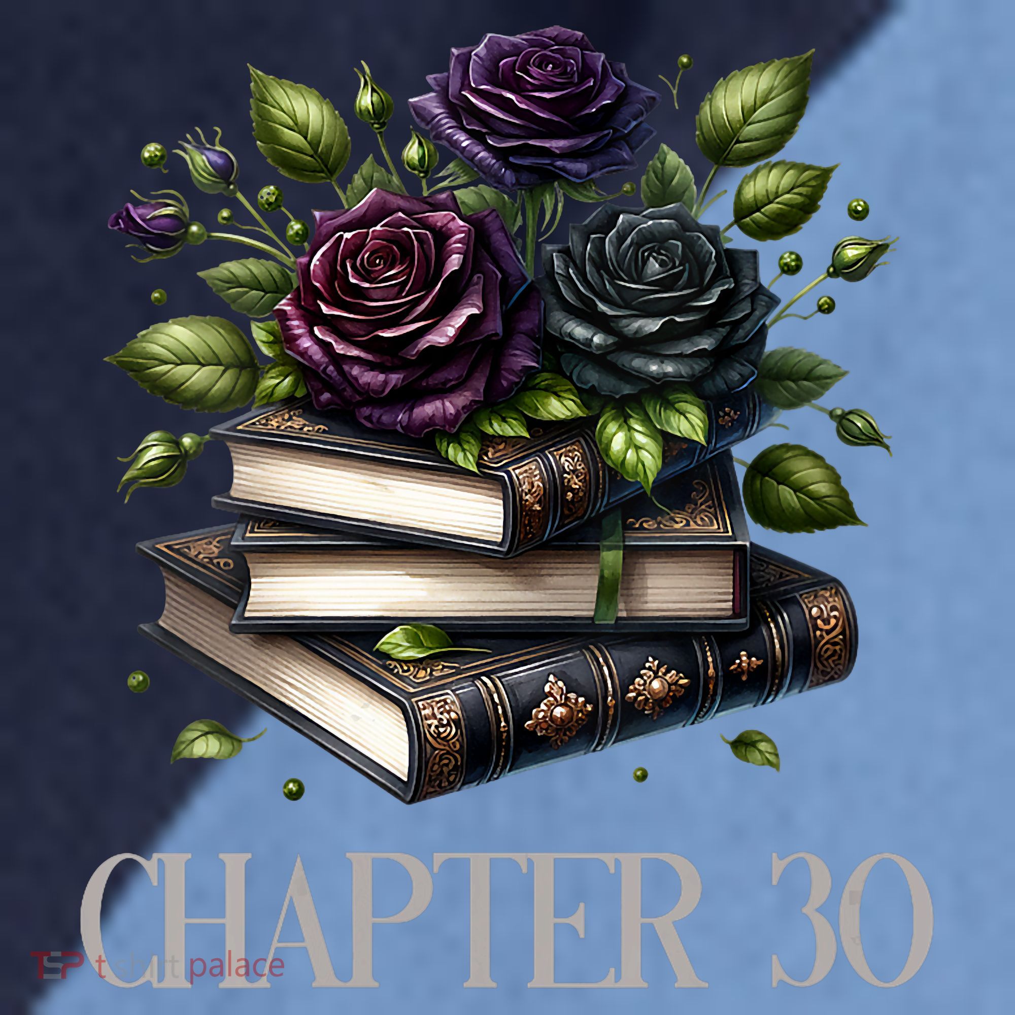 Chapter 30 30th Birthday Women Book Lovers Dark Romance  Raglan Baseball Sleeve Shirt