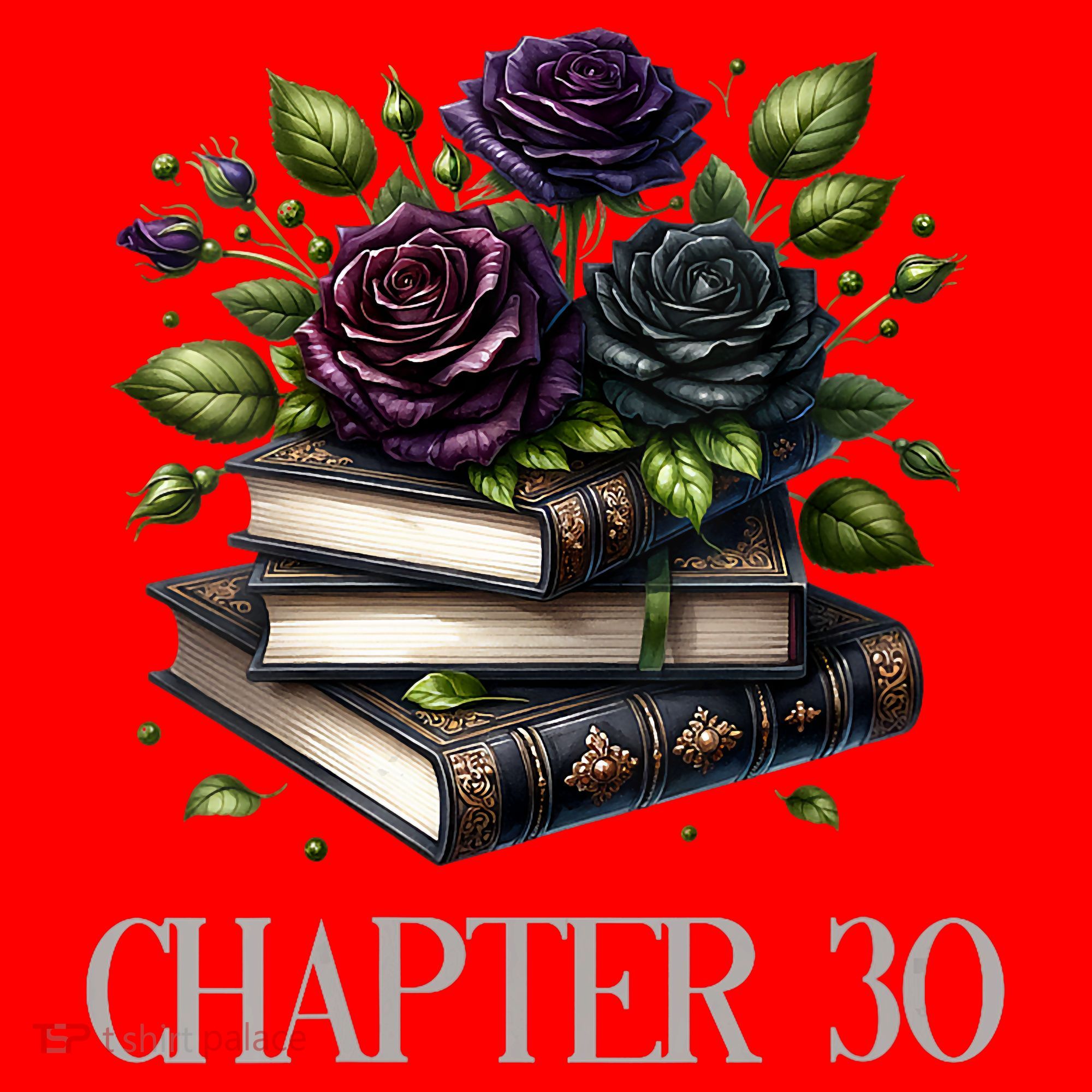 Chapter 30 30th Birthday Women Book Lovers Dark Romance  Santa Hat
