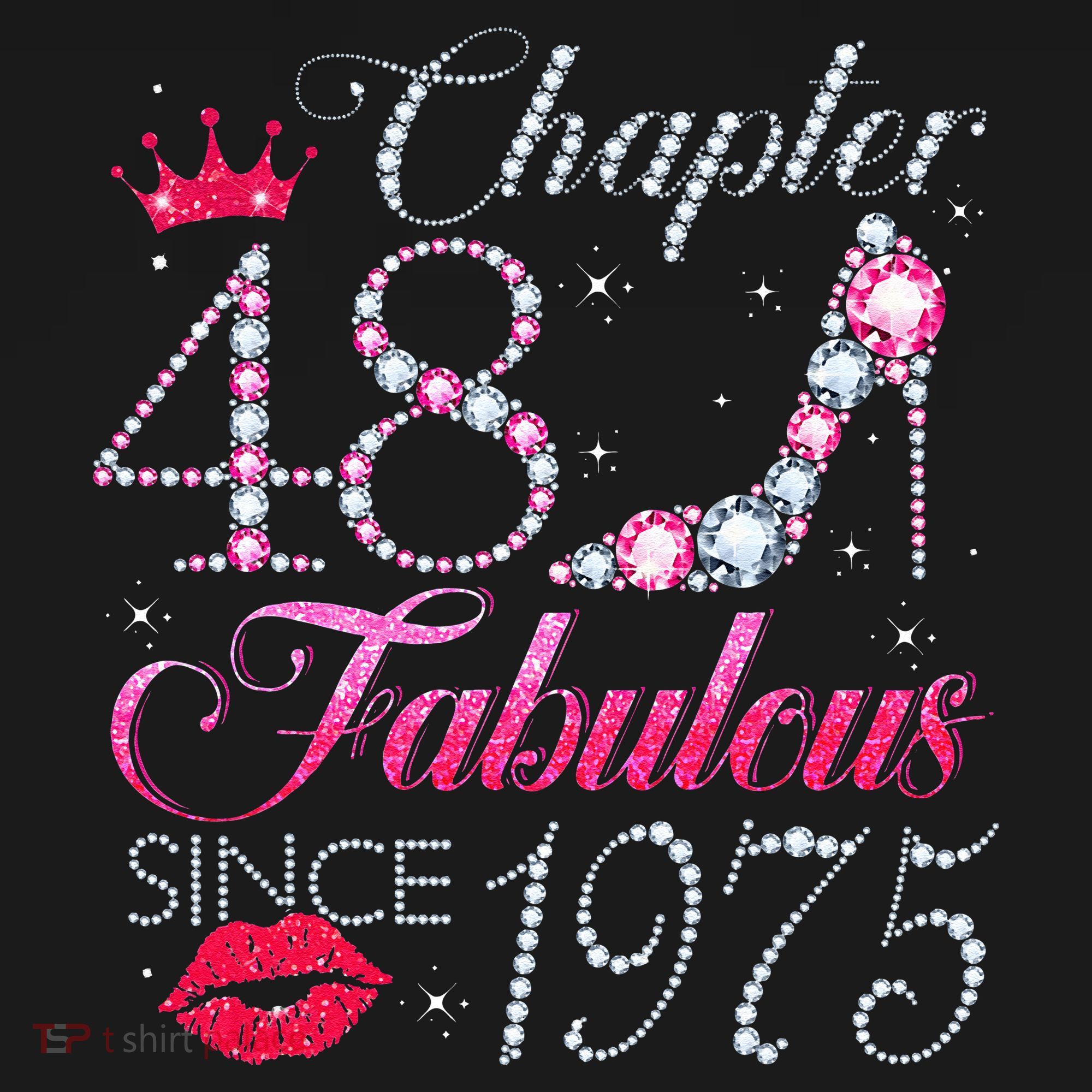 Chapter 48 Fabulous Since 1975 48Th Birthday Gift For Women Women's Hoodie