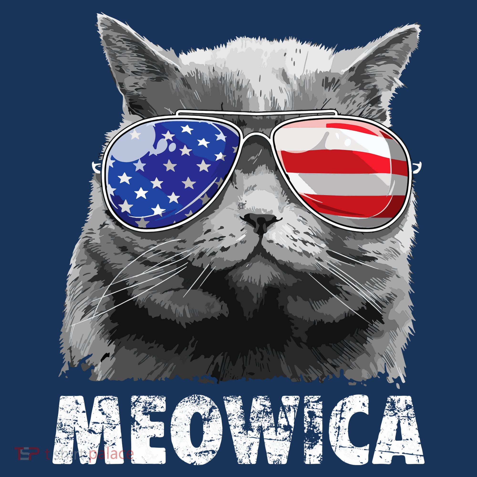 Cat 4th Of July Meowica Merica USA American Flag T-Shirt