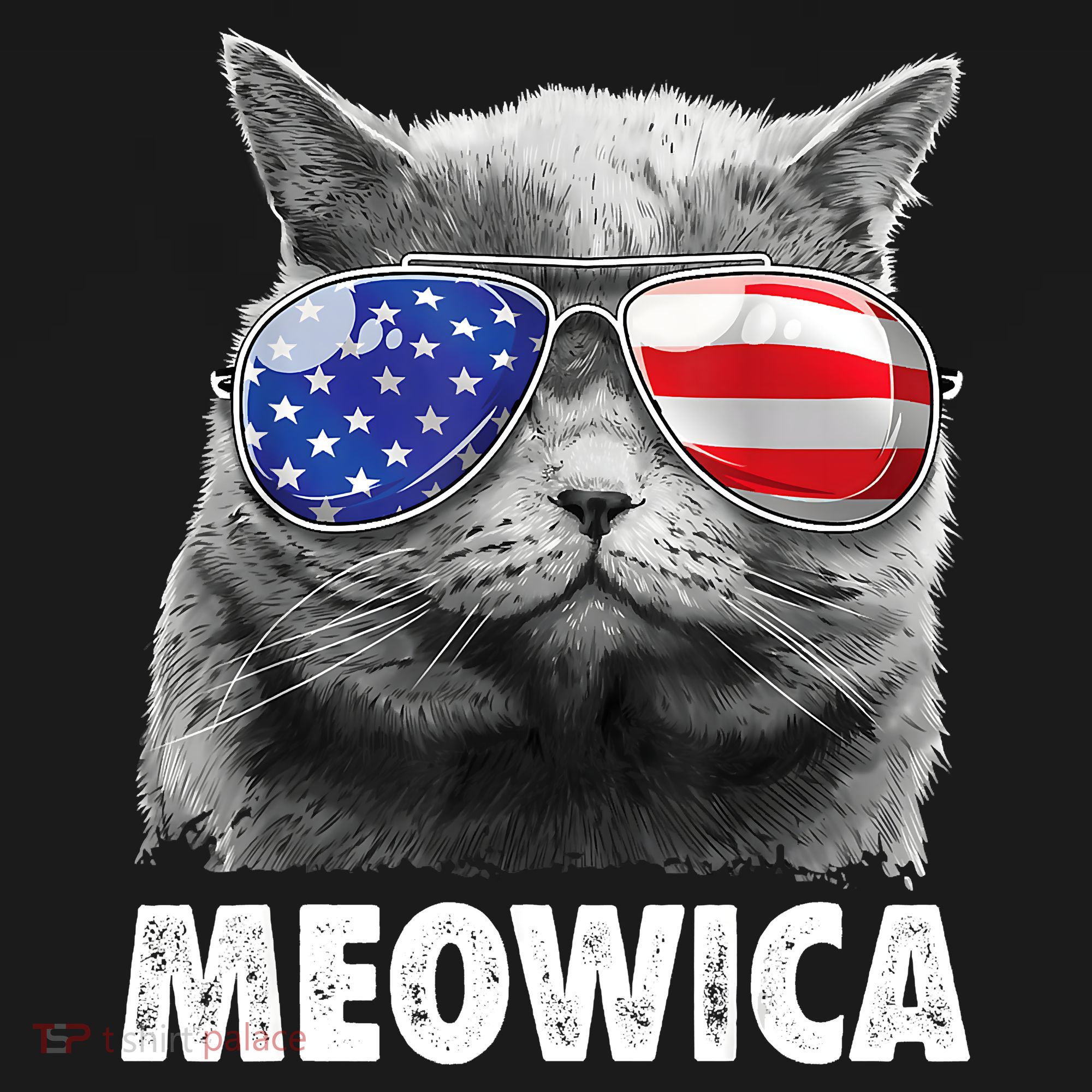 Cat 4th Of July Meowica American Flag Sunglasses Women's Hoodie