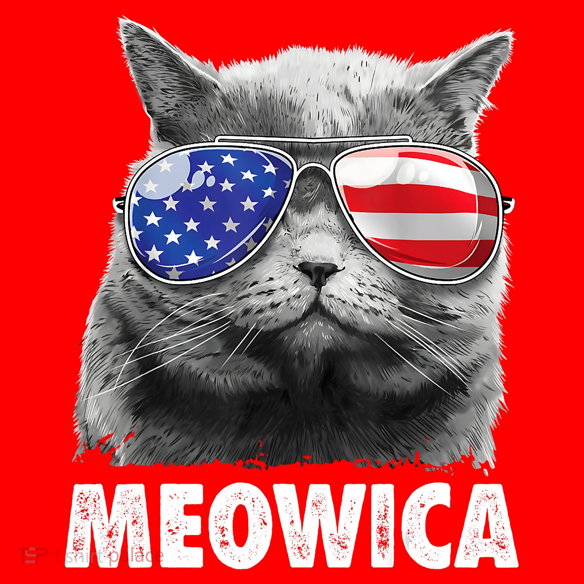 Cat 4th Of July Meowica American Flag Sunglasses Santa Hat
