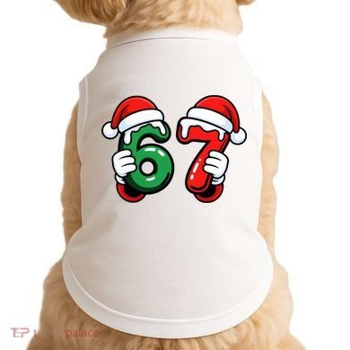 Christmas 67 Santa Hands Funny Meme 6-7 Sixty Seven Doggie Tank