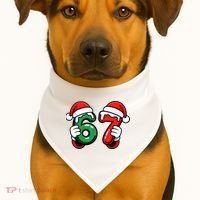 Christmas 67 Santa Hands Funny Meme 6-7 Sixty Seven USA-Made Doggie Bandana thumb 1