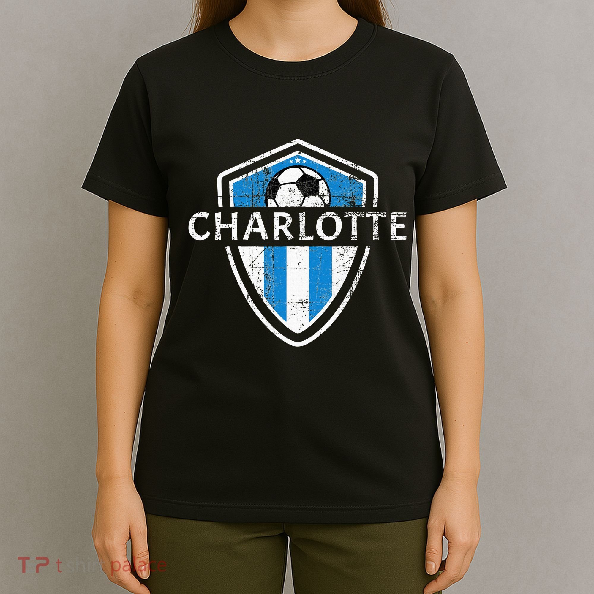 Charlotte 704 Jersey Fan Badge Distressed T-Shirt