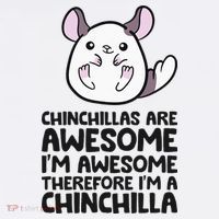 Chinchillas Are Awesome Therefore Im A Chinchilla Women's Hoodie thumb 2