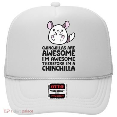 Chinchillas Are Awesome Therefore Im A Chinchilla Hat