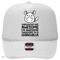 Chinchillas Are Awesome Therefore Im A Chinchilla Hat thumb 0