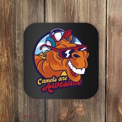 Camels Are Awesome Coaster