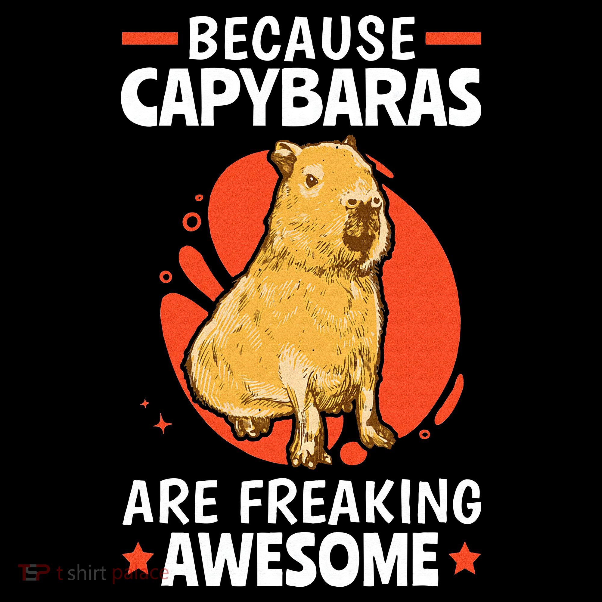 Capybaras Are Awesome Rodent Grasseater Capybara Women's Hoodie