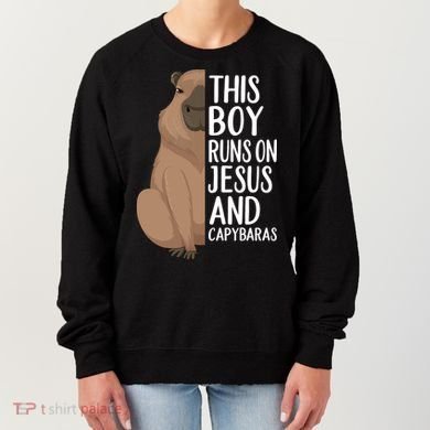 Capybara Art Animal For Capybara Lovers Women's Sweatshirt