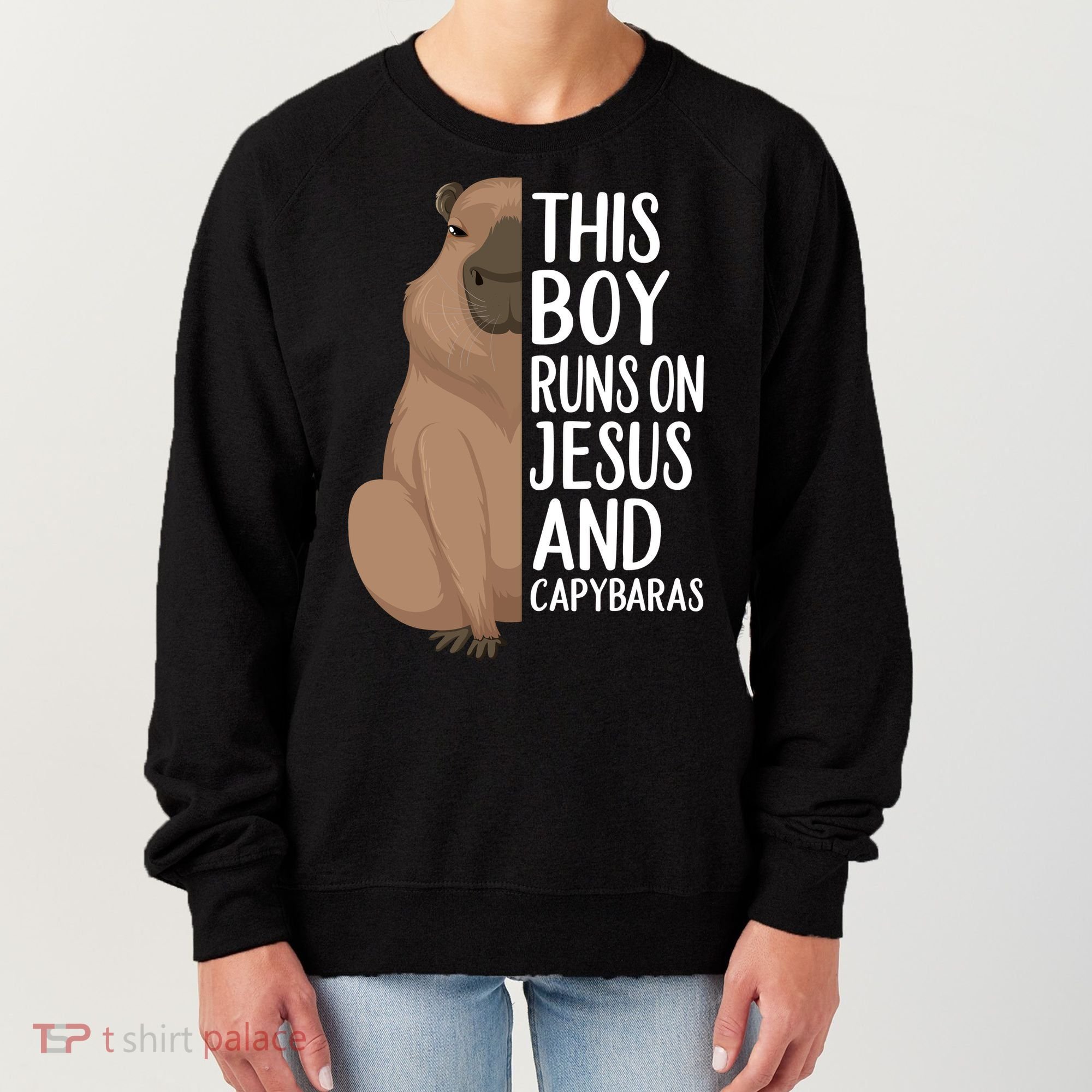 Capybara Art Animal For Capybara Lovers Women's Sweatshirt