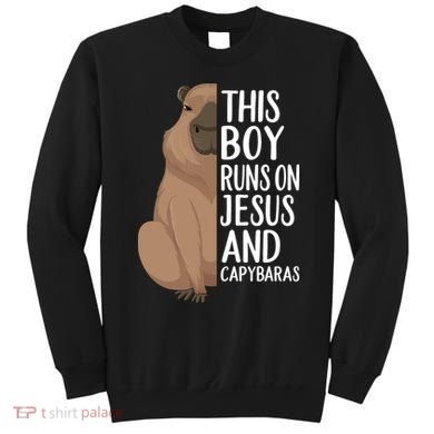 Capybara Art Animal For Capybara Lovers Sweatshirt