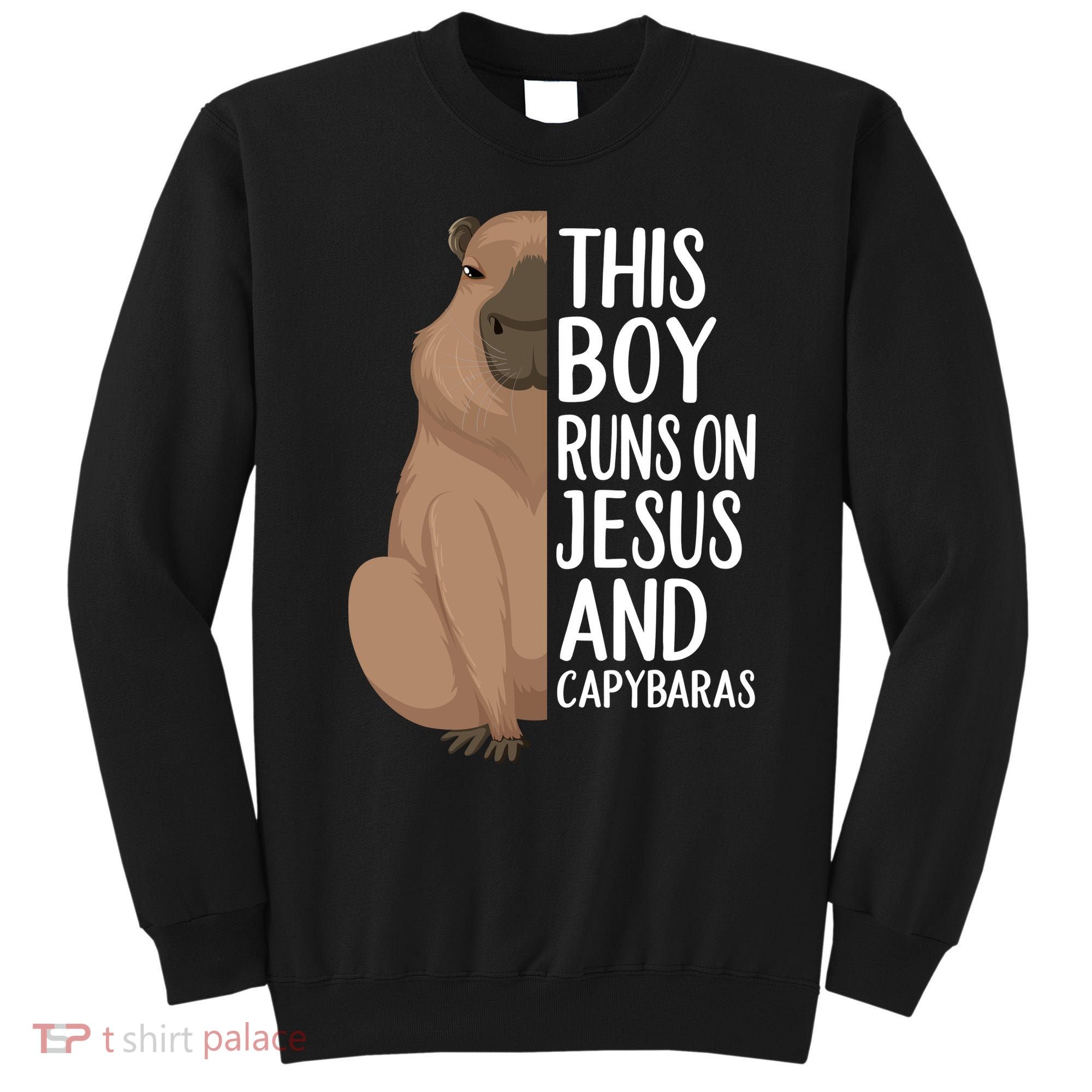 Capybara Art Animal For Capybara Lovers Sweatshirt