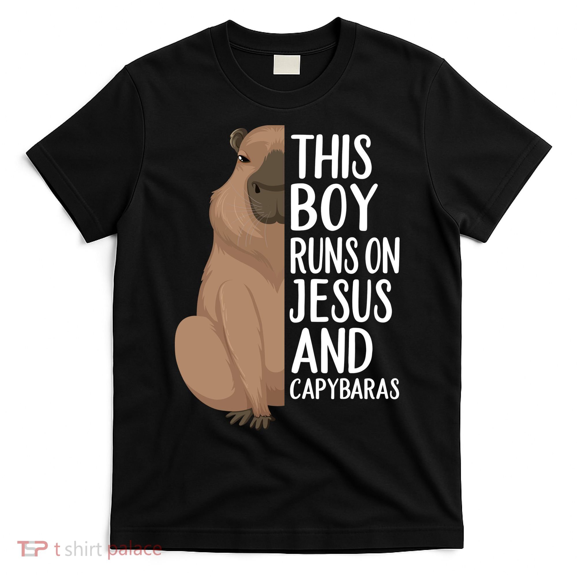Capybara Art Animal For Capybara Lovers T-Shirt