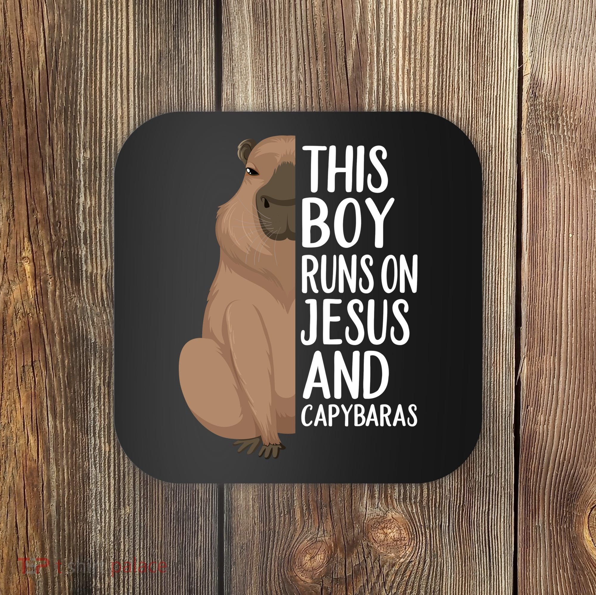 Capybara Art Animal For Capybara Lovers Coaster