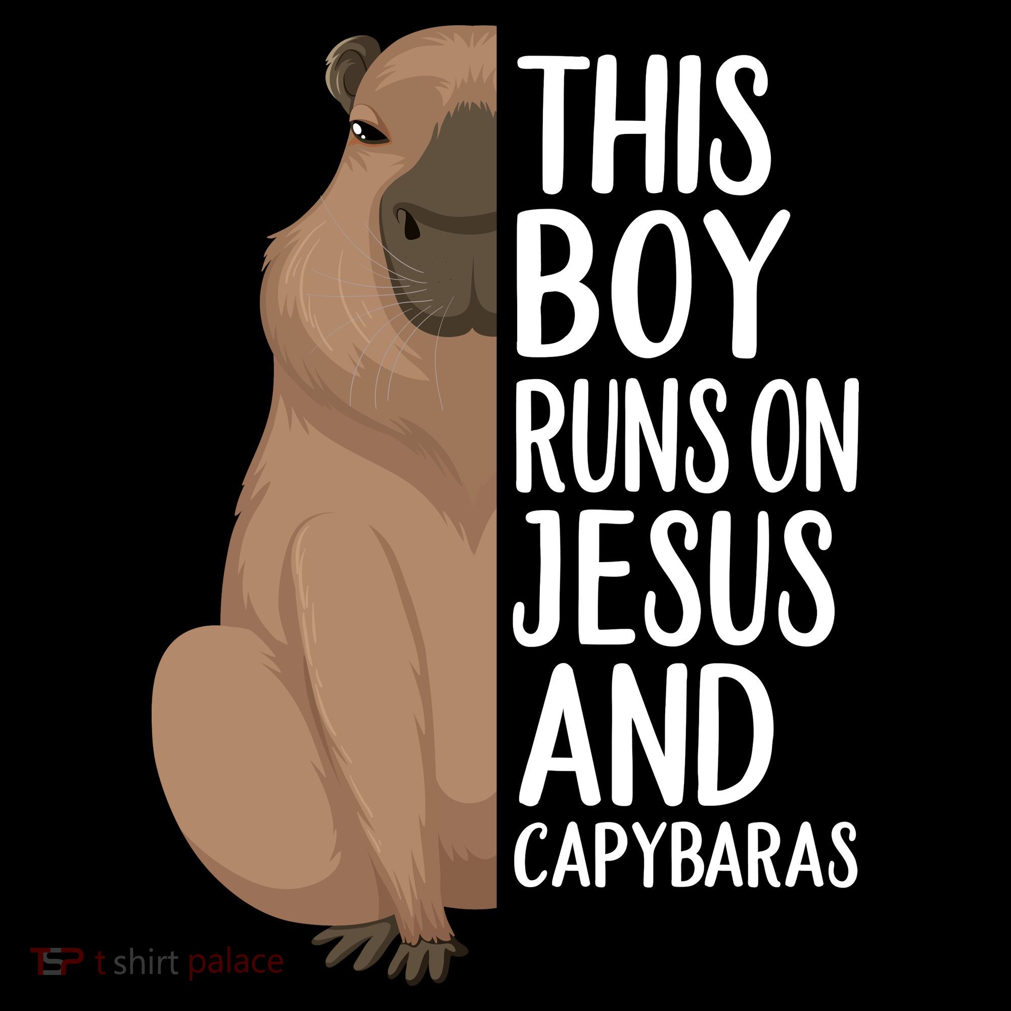 Capybara Art Animal For Capybara Lovers Women's Hoodie