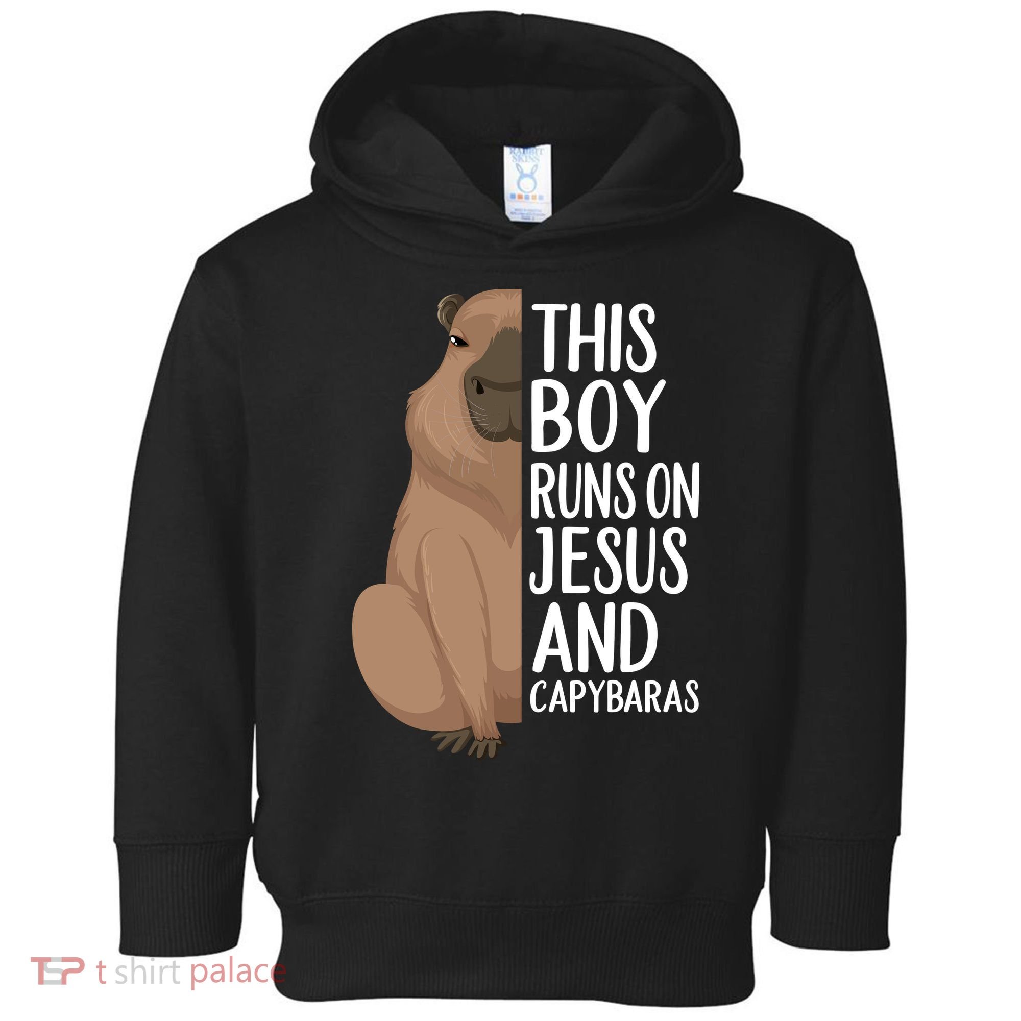 Capybara Art Animal For Capybara Lovers Toddler Hoodie