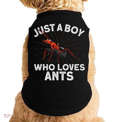 Cool Ant Ant Farm Entomology Ants Insect Doggie Tank